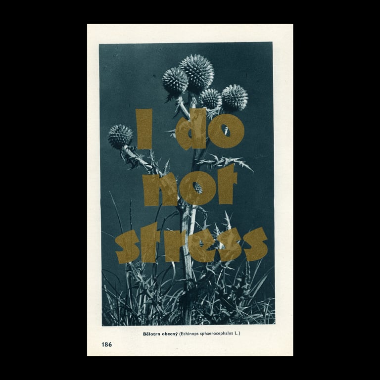I do not stress I.