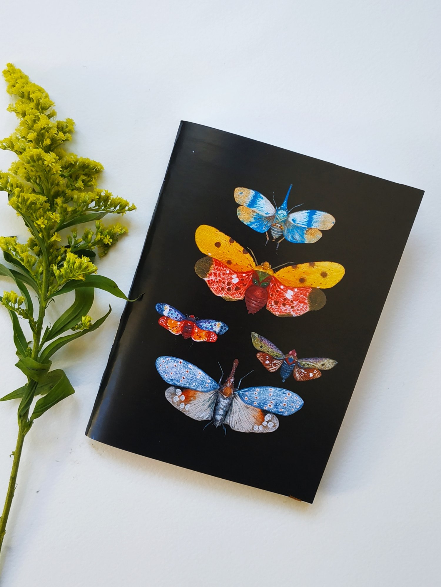 Image of Black Notebook with Insect Illustration