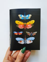 Image 2 of Black Notebook with Insect Illustration