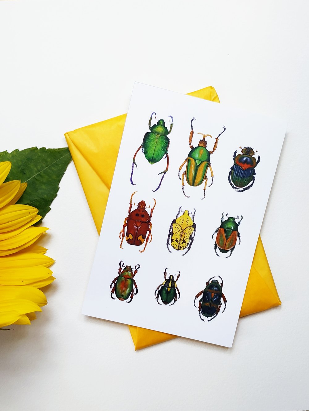 Image of Coleoptera Study n.2 Postcard