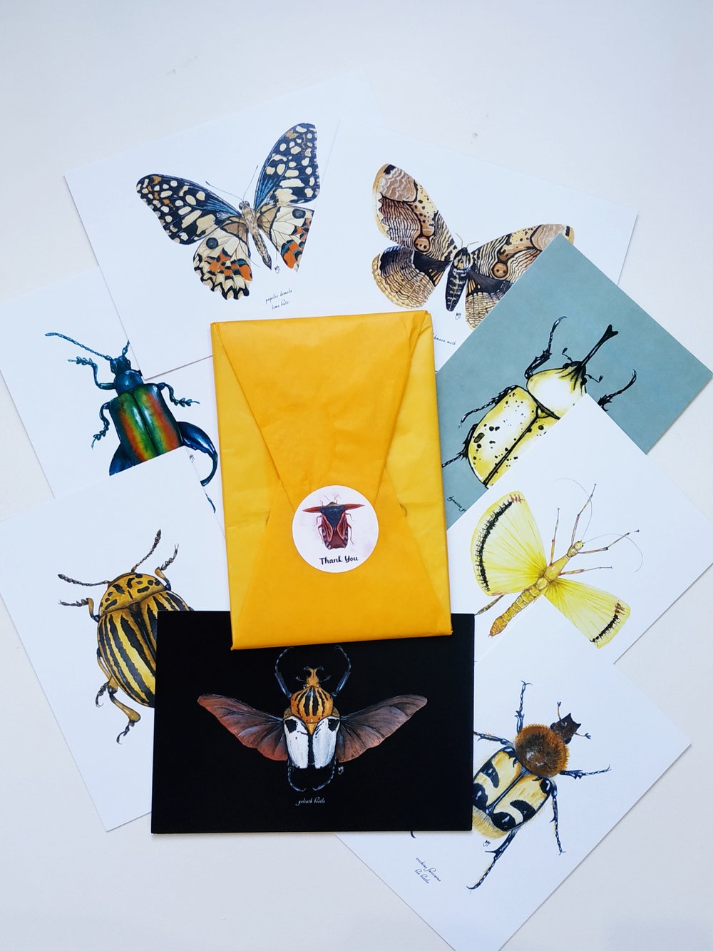 Image of Entomology Postcard Set n.2