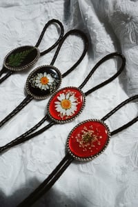 Image 1 of Bolo Tie Preorder 