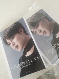 CINDERELLA'S CONTRACT BOOK