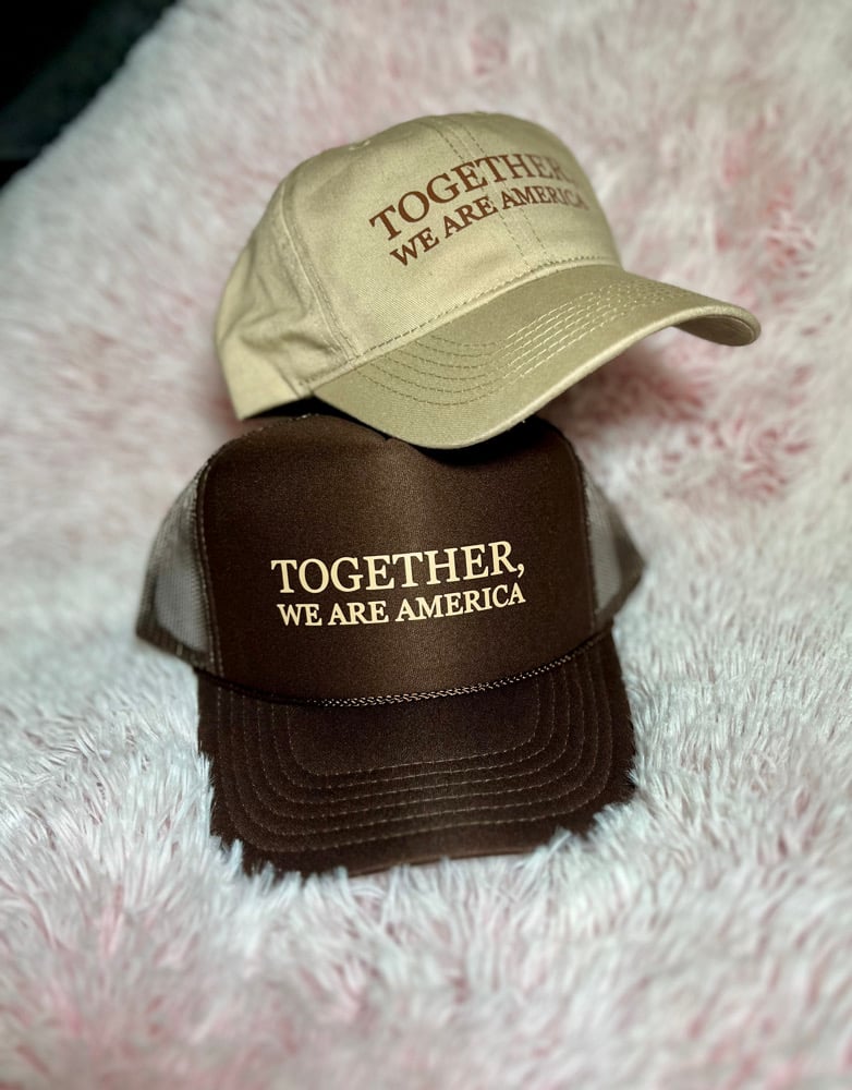 Image of Together America Hat