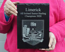 Image 2 of Limerick County GAA Crest