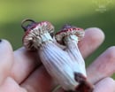 Image 2 of Mushroom Necklace with Garnet