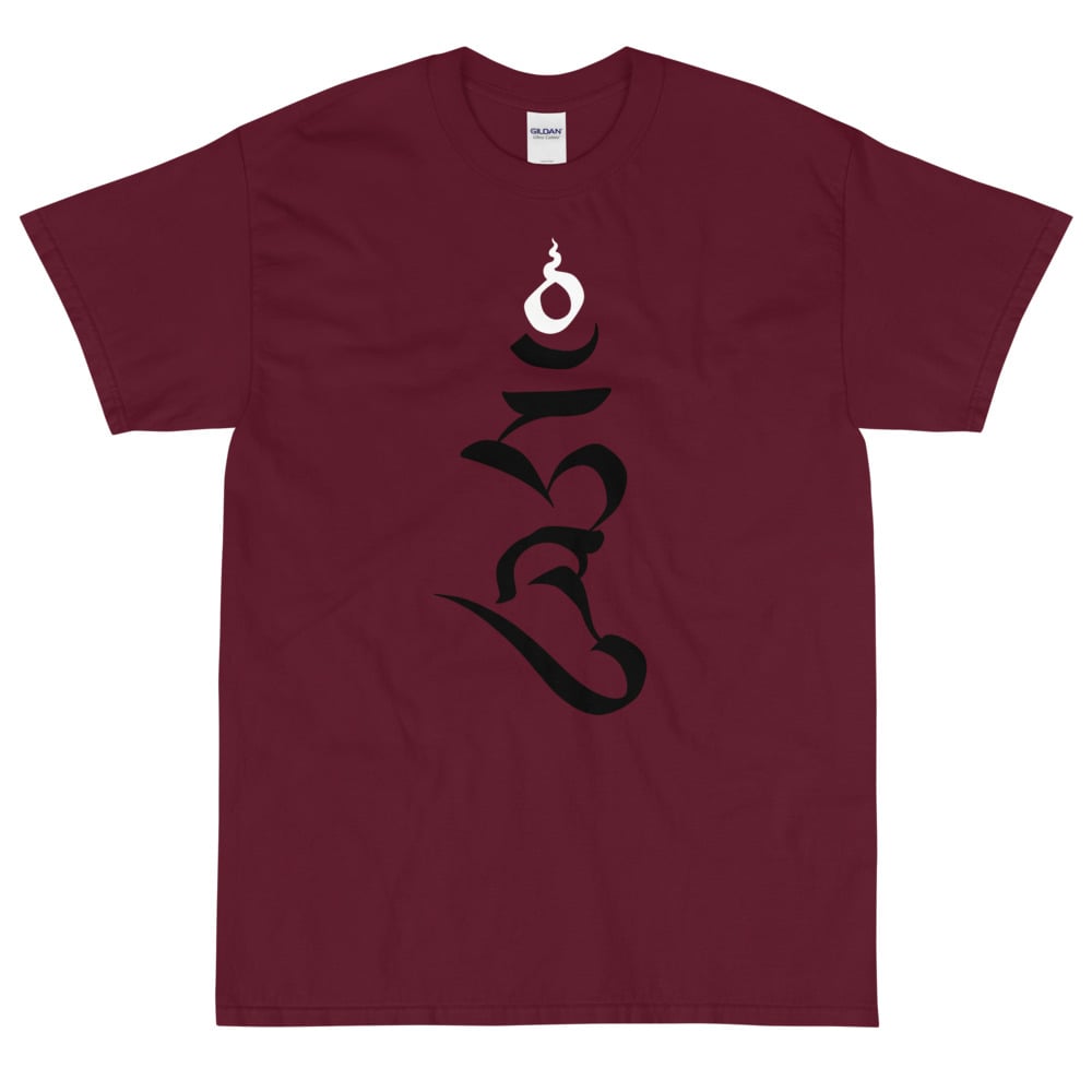 Spirit of enlightenment T-shirt