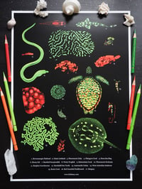 Image 1 of Coral Reef Biofluorescence Poster Fine Art Print