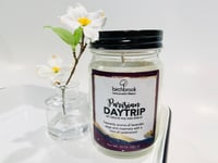 10 oz Natural Soy Candle - Parisian Daytrip 