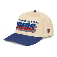 Image 3 of TSU MASCOT HAT