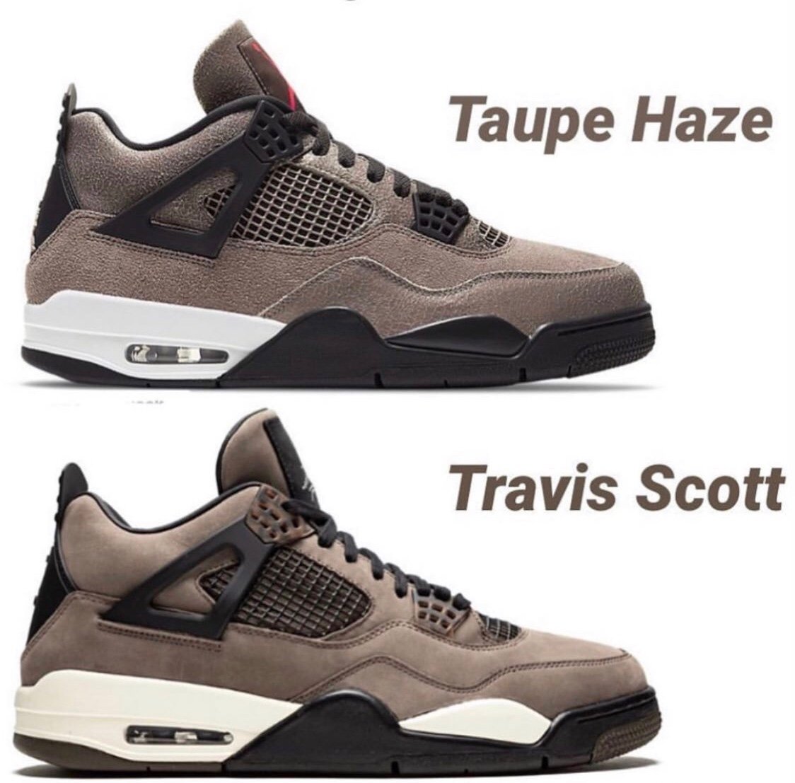 where to buy taupe haze
