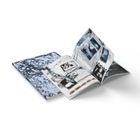 "Disposable Loves Vol.II" Magazine