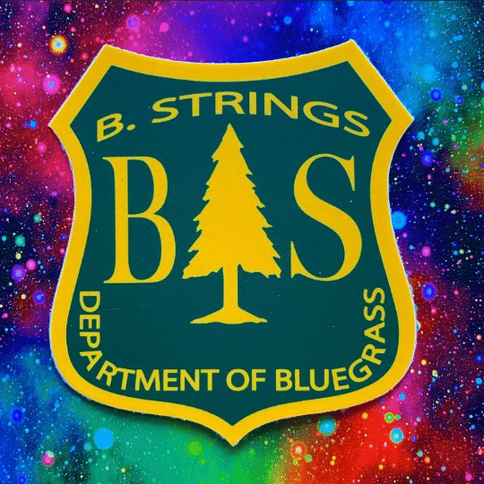 Image of Billy Strings fan art - DEPARTMENT OF BLUEGRASS sticker