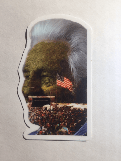 Image of Delfest sticker