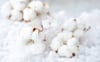 Clean Cotton ~ Wax Melts ~ Made To Order