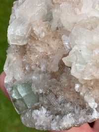 Image 8 of Green Apophyllite Cluster Specimen #1843