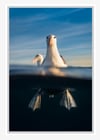 FLIPPERS  -  Canvas print (Ready to hang) with float frame options.