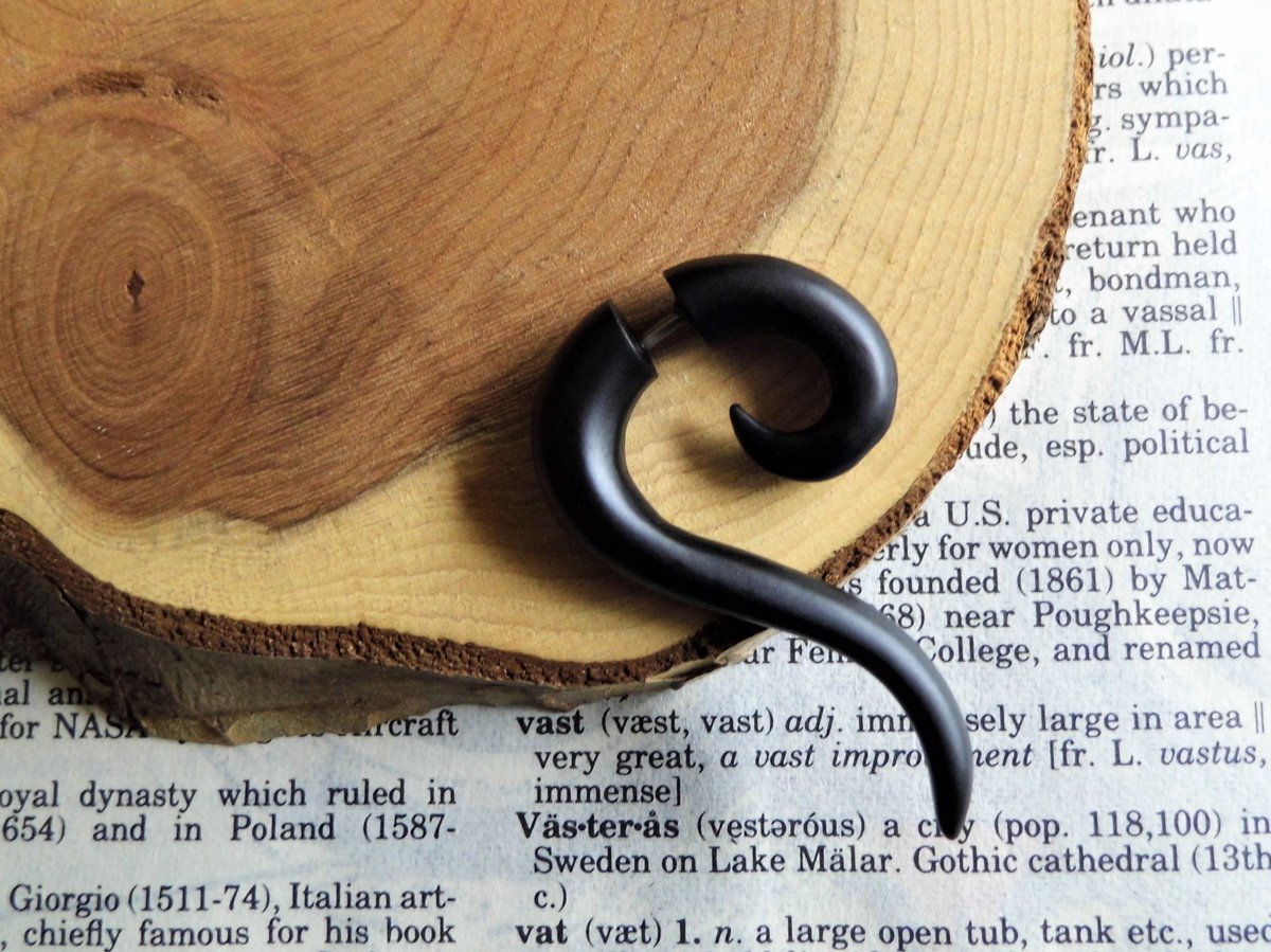 Small Black Spiral Hook Earring Fake Taper