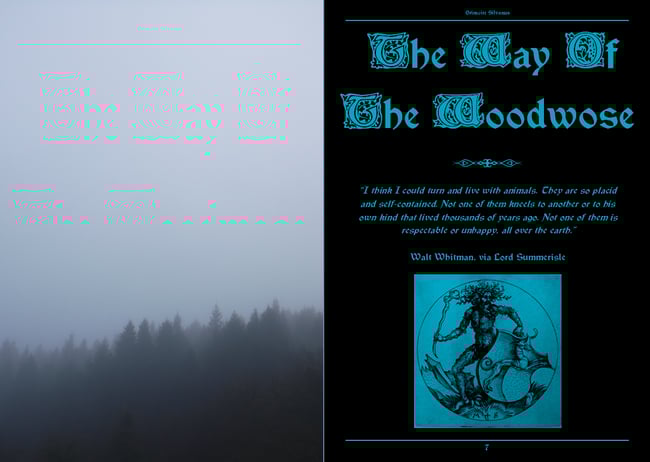 Grimoire Silvanus Zine Issue 2