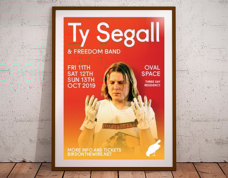 Ty Segall | Oval Space