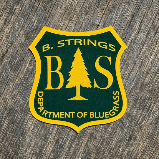 Image of Billy Strings fan art - DEPARTMENT OF BLUEGRASS magnet