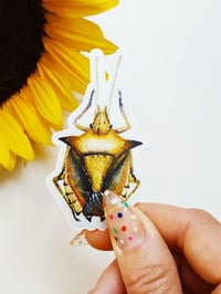 Image 1 of Stink Bug Sticker