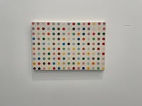 Image 4 of damien hirst (after)/ observer / 22/044