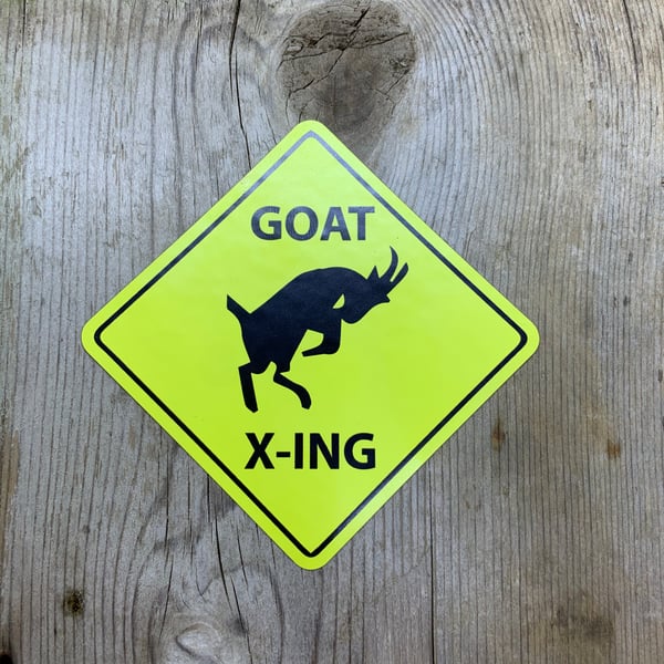 Image of GOAT X-ING magnet 