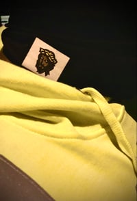 Image 5 of GIGPS (REFLECTIVE) FULL COVER COVID MASK