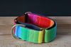 Rainbow Dog // Martingale Collar