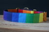 Rainbow Dog // Martingale Collar