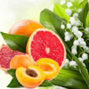 Sweet Temptation ~ Wax Melts ~ Made To Order