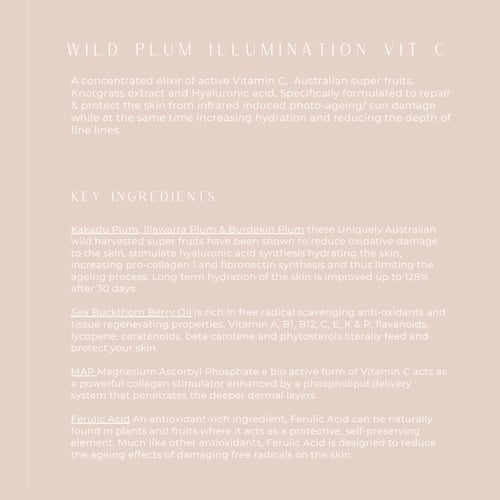 Image of WILDCRAFTED ORGANICS Wild Plum Illumination C Complex