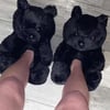 BLACK BEAR SLIPPERS