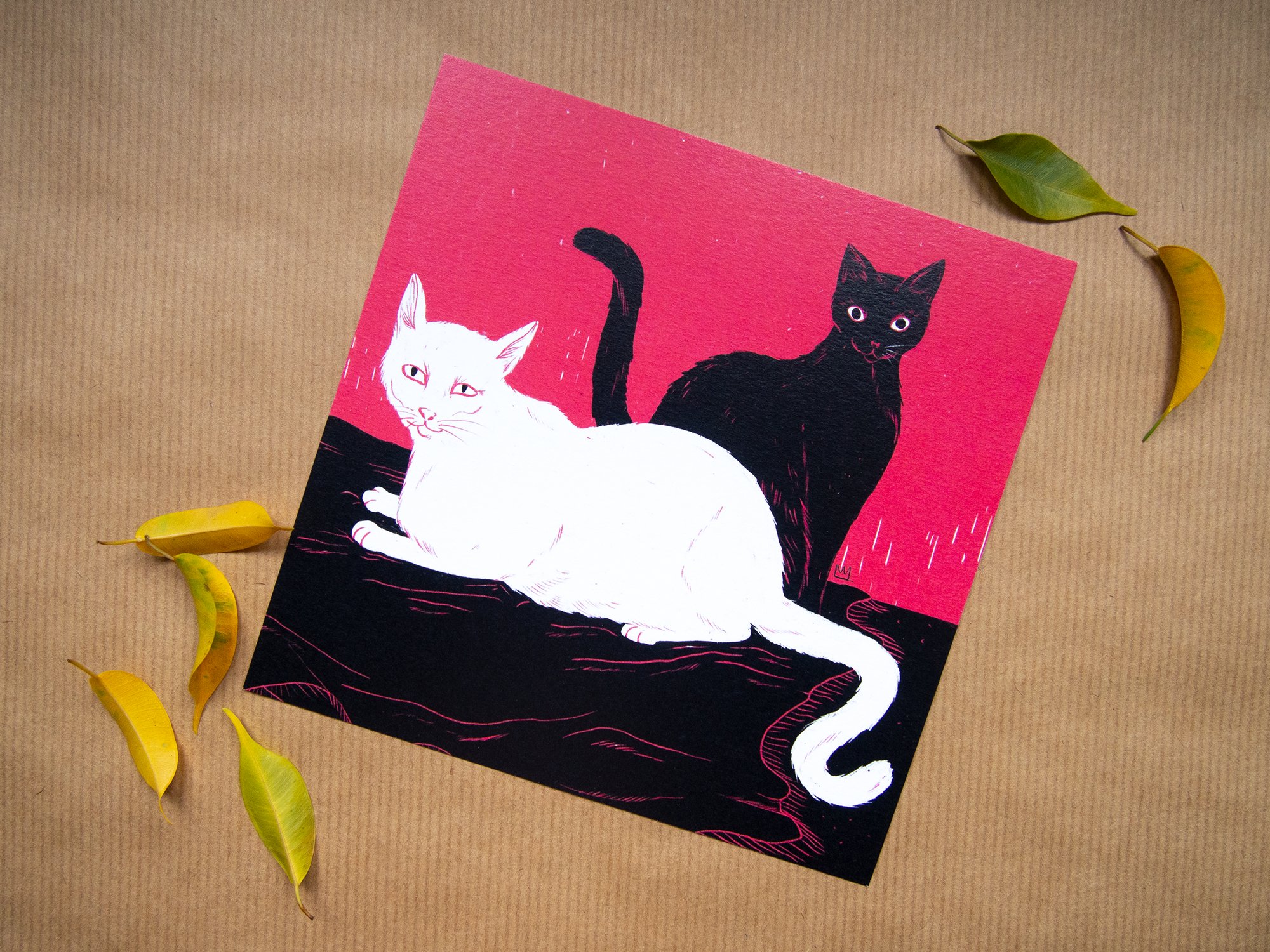 Image of Deux chats un portrait