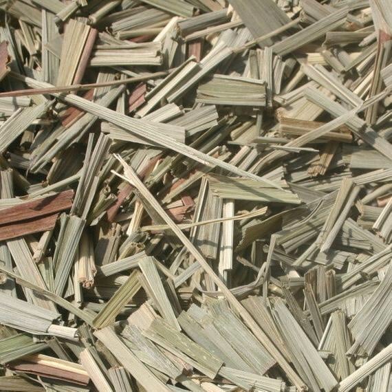 Lemongrass aka Fevergrass