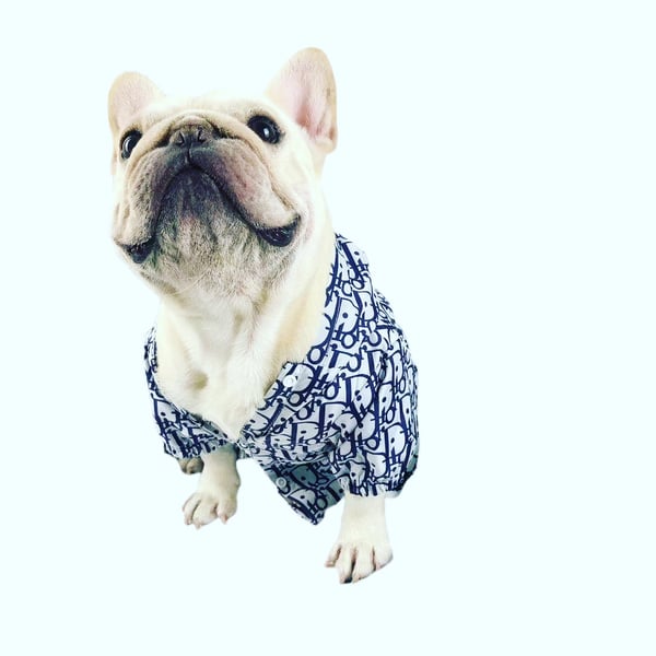Image of Dogs5thAvenue Dior “Doggie” Windbreaker 