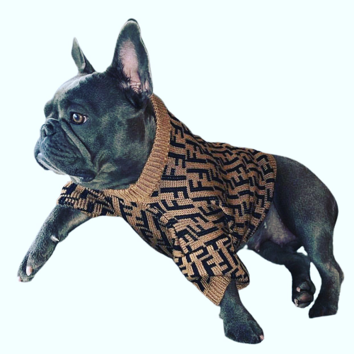 Image of Dogs5thAvenue Fendi “Doggie” Sweater