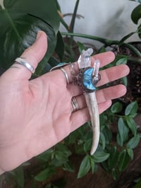 Image 1 of Labradorite Antler Talisman