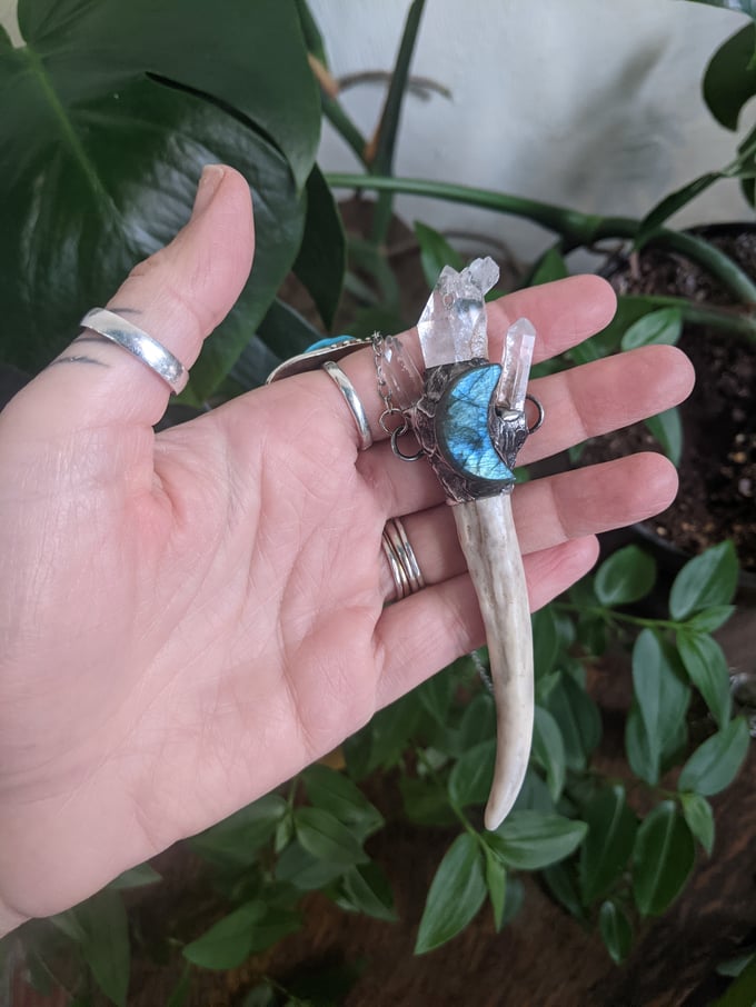Image of Labradorite Antler Talisman