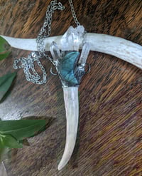 Image 3 of Labradorite Antler Talisman