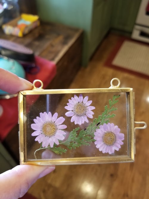 Image of Pressed Flowers/Brass frames