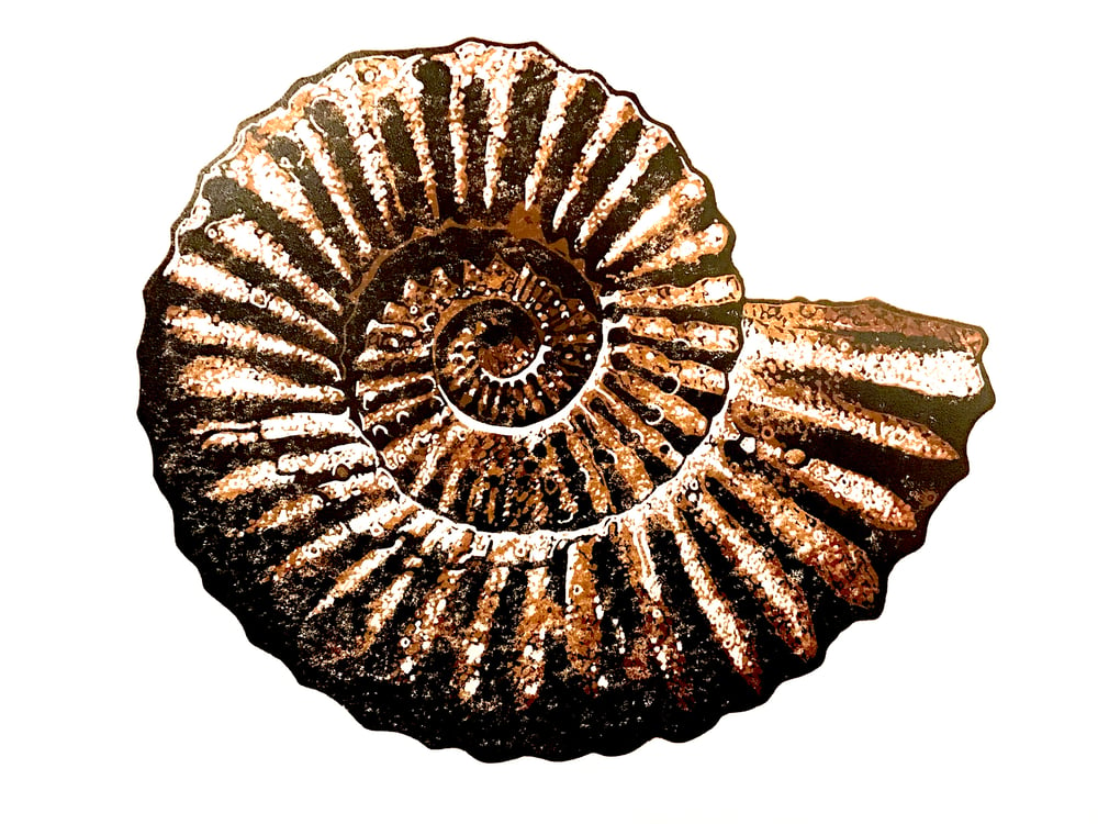 Ammonite - brown linocut print