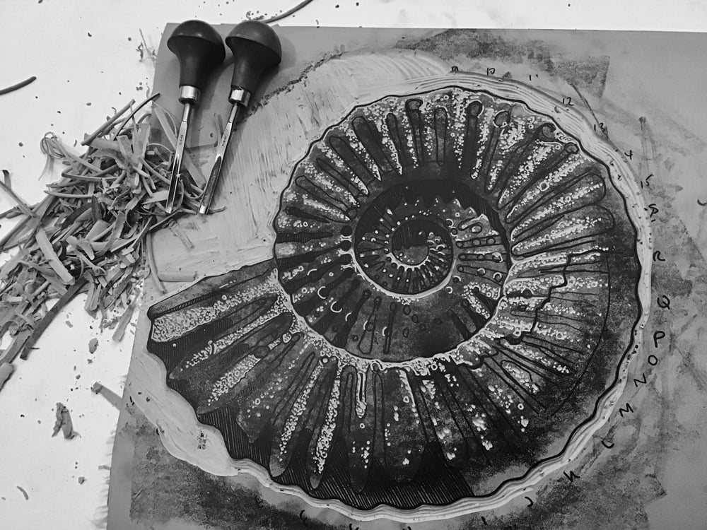Ammonite - grey/black linocut print 