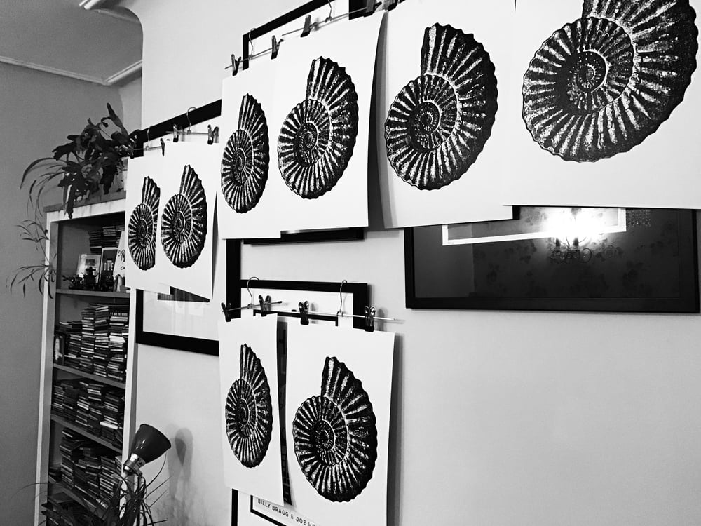 Ammonite - grey/black linocut print 