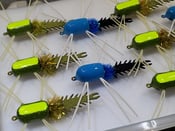 Image of Damsel Boga Bug