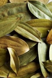Cinnamon Leaf