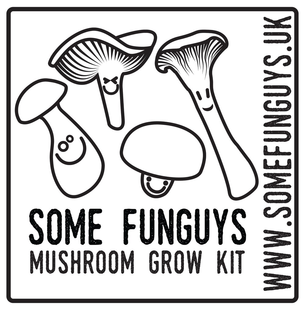 Image of Double up! Two gourmet mushroom grow at-home kits