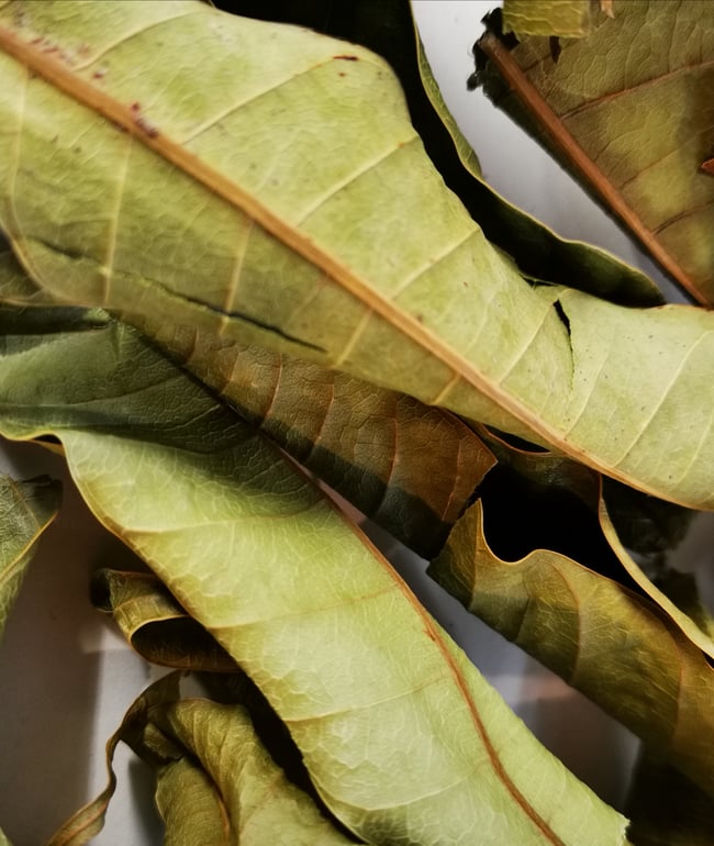 Mango Leaf  30g
