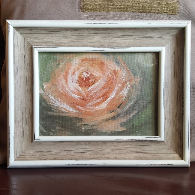 Apricot Rose Study